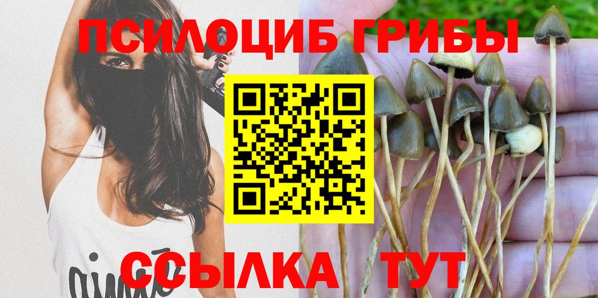 купить  сайты  Галлюциногенные грибы Psilocybe  Вход с VPN  Красный Сулин 